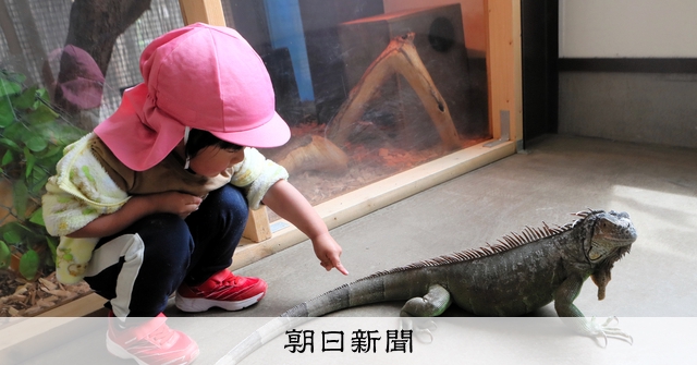 自由すぎる」動物園にまるで恐竜 神出鬼没で「触らせてあげる」 [香川