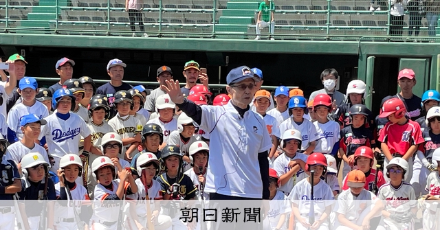 入手困難】2013年の日本シリーズ公式球 五月蝿い
