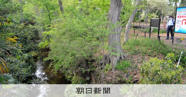 【中古】 道路の上に緑地ができた /文理閣/道路公害反対運動全国連絡会 道路の上に緑地ができた / 道路公害反対運動全国連絡会