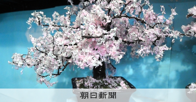 インスタでバズった78歳の〝紙技〟動画 桜や城…ティッシュで制作 [広島