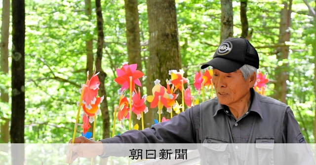 日航機墜落事故　従事功労　メダル 専用 日航機墜落事故 対策従事功労 メダル 昭和60年8月 群馬県