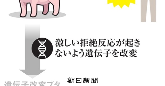異種移植―21世紀の驚異の医療 異種移植―21世紀の驚異の医療 山内 一也 異種移植―21