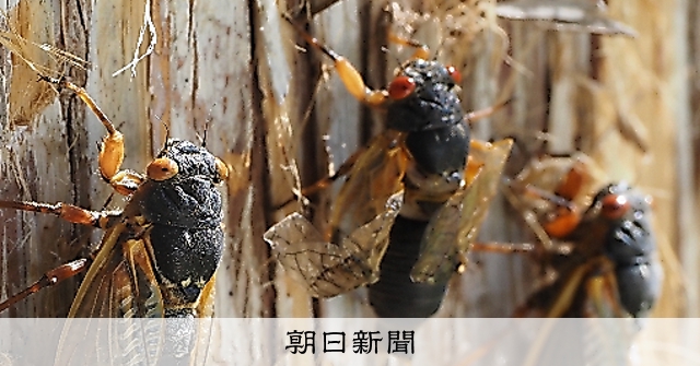 まなび場天声人語：朝日新聞