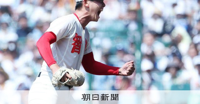 田近 楓雅 選手 智辯学園 甲子園記念タオル