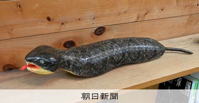 村の「ツチノコ共和国」復活の時 昭和は賞金かけ大探検、令和の今は [奈良県]：朝日新聞