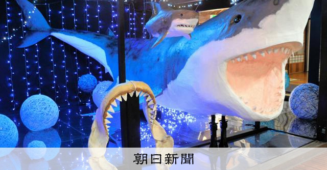 ジョーズだ」25年前出没したホオジロザメ、模型をリアルな歯に