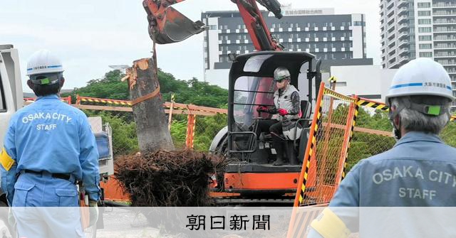 15万円→8000円！ 早い者勝ち！大樹、きくちようさい A man in his 80s in the prefecture lost 13 million yen to a social