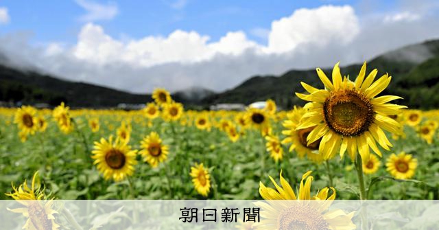 AS20240827004167_comm.jpg