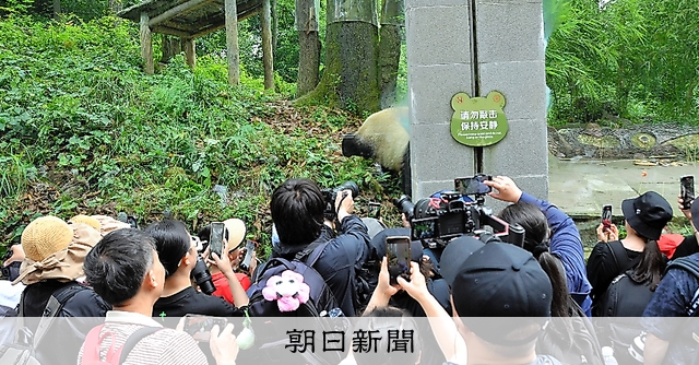 (愛され大使 中国「パンダ外交」はいま:下)野生に返す、「強国」の威信かけて:朝日新聞