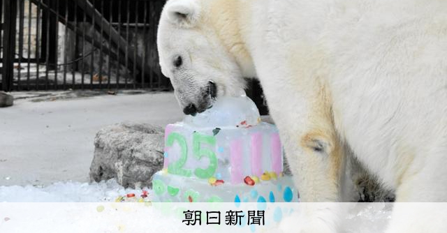 がんばれ！しろくまピース 人工飼育でそだったホッキョクグマの赤ちゃん 文溪堂 がんばれ!しろくまピース 人工飼育でそだったホッキョクグマの