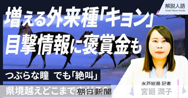 解説人語】外来種「キョン」繁殖拡大 目撃情報で「褒賞金」も：朝日新聞