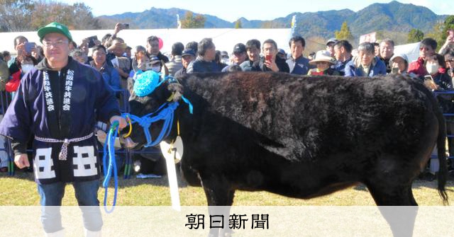 落札額3032万円の松阪牛 三重→ドバイに渡り日本料理店で提供へ [三重