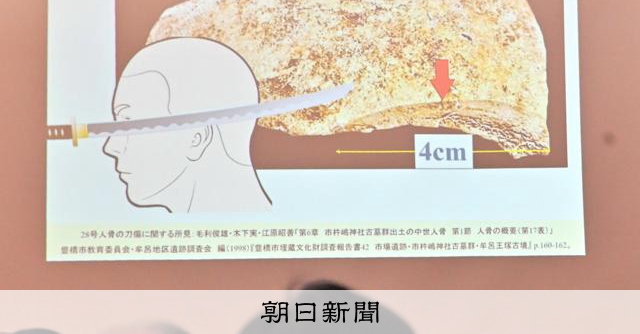 戦国時代の幼児の頭蓋骨になぜ刀傷？斬られた痕跡、新たに調査で判明 [愛知県]：朝日新聞