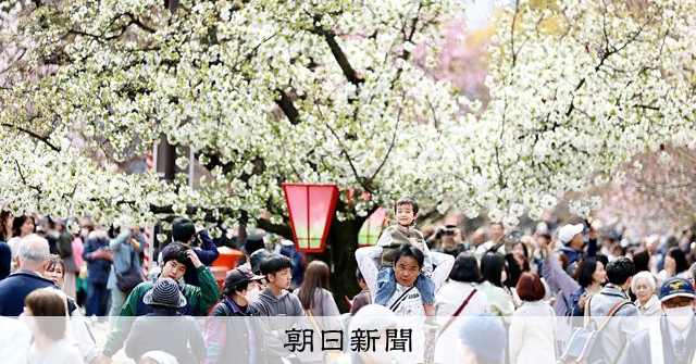 造幣局通り抜け 造幣局 : 桜の通り抜け（大阪）