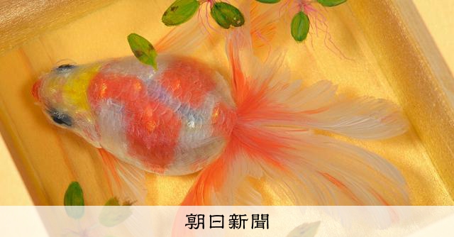 金魚の絵 金魚🐠 生まれて初めて魚描きましたが楽しく描けました。 #金魚