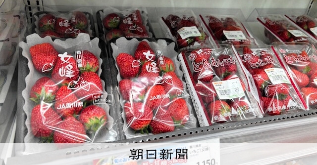 いちごのまち」三木町PRへ空飛ぶ女峰 北海道のコンビニで販売 [香川県