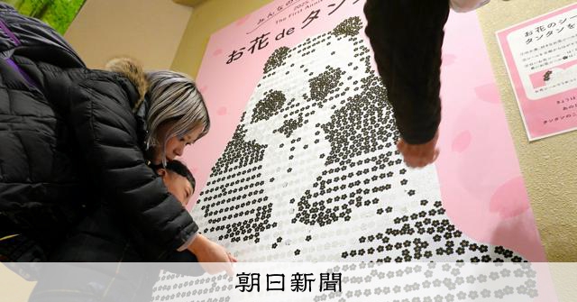 パンダの「タンタン」忘れないよ 旅立ちから1年、王子動物園で追悼