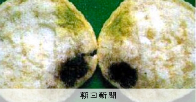 FOOD発見）カビと食品 おいしさも害も カビ、油断せずに