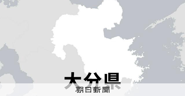 佐伯、竹田、豊後大野の3市議選 宇佐市議補選の当選者決まる