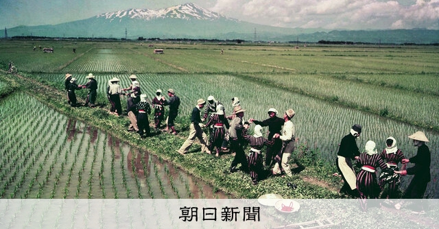 朝日新聞写真館 since1904）ダンス熱 踊ってウキウキ、いつの