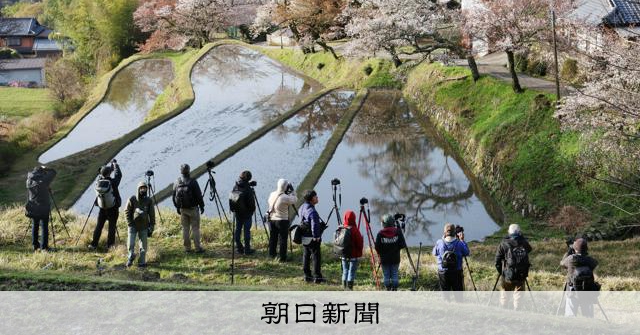 田中芳照、仙桜雨景、希少な画集より、新品高級額、額装付、状態良好 田中芳照、仙桜雨景、希少な画集より、新品高級額、額装付、状態良好