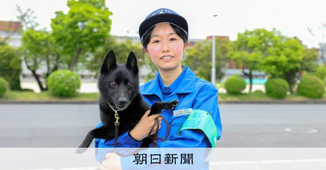 【強者警察犬さん　専用】 sddefault.jpg