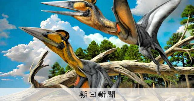 30年前に発見された翼竜化石、国内初の新種だった 熊本大など発表