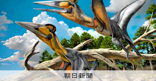 翼竜の化石、新属・新種だった 熊本・御船町、約30年前に発見