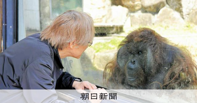 オランウータンのふるさとの森は今 多摩動物公園元飼育員が写真絵本