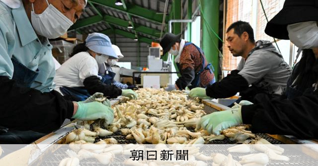 鳥取県産 砂丘らっきょう (火曜日発送) rkzk_sam_top7.jpg