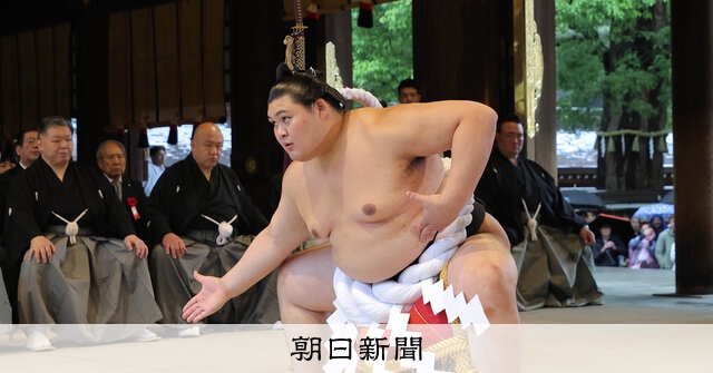 絵画日本画原画「明治神宮奉納土俵入り」 絵画日本画原画「明治神宮