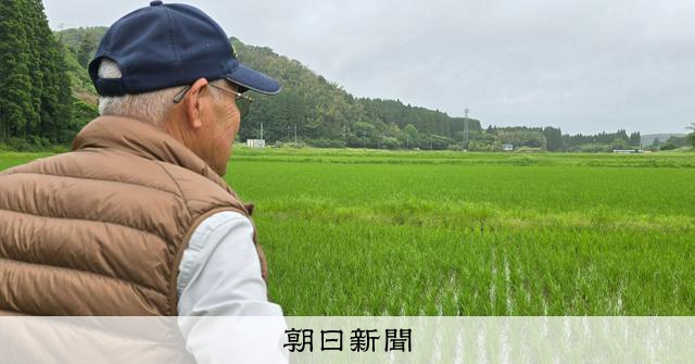 JAも青田買い　「もうけているんだろ！」農家には不審な電話 [令和の米騒動]：朝日新聞