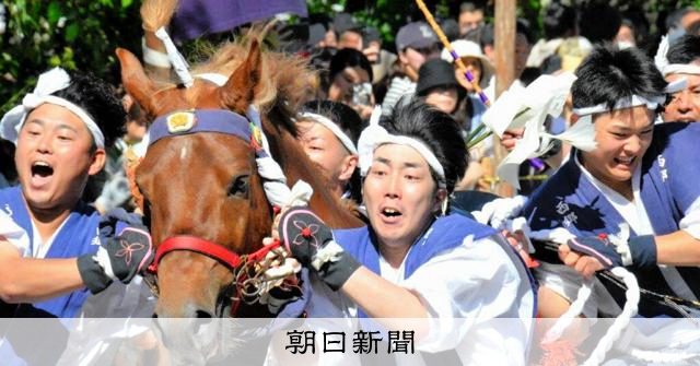 神馬と一体、若者ら参道を駆ける 隠岐・御霊会風流の「馬入れ神事
