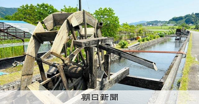 水車は減ってもアジサイは見頃 四万十市の「安並水車の里」 [高知県
