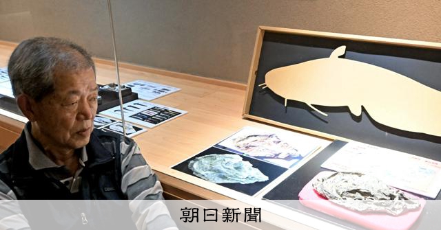 伊賀地方で採集した化石300点紹介！初公開のナマズの頭の骨も展示