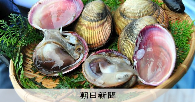 汽水湖のデッドゾーンを追え 「丹後とり貝」 タッグで環境に挑む [京都