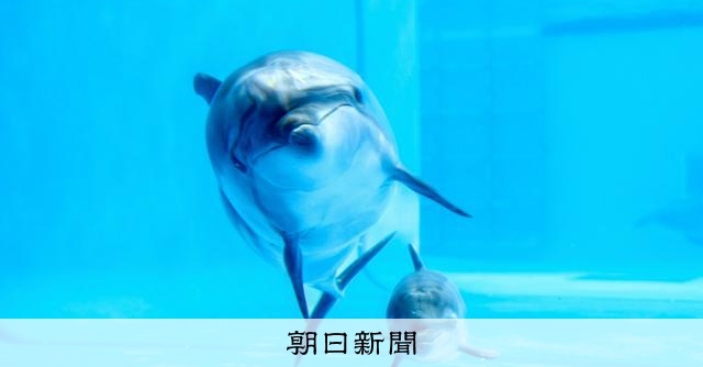 AS20250613005130_comm.jpg