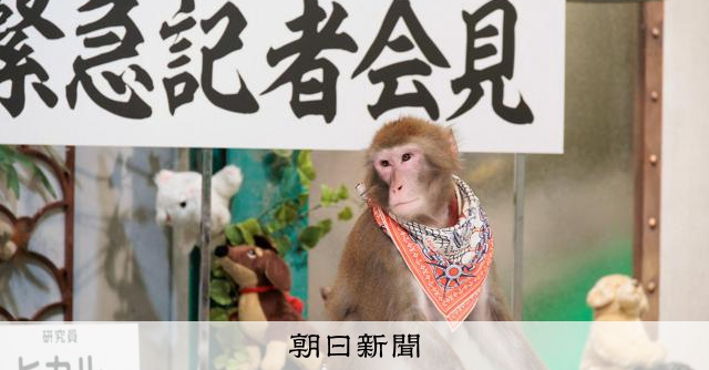 動物が人間を〝観察〟 若手社員のアイデアきっかけ「人間研究所