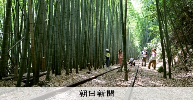記事の画像
