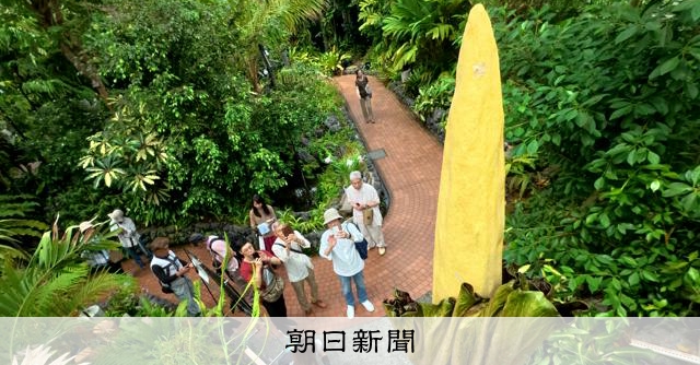 世界で最も背の高い花、京都で咲く 「仲良くしたくない臭い」放つ