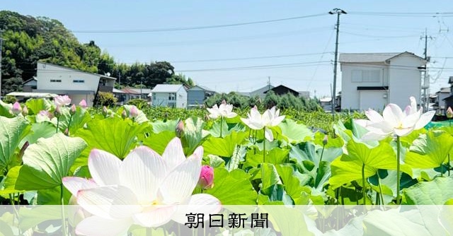 花蓮 今日は #いい12Rの日 ♡ZX-12R ＞＜♪ #Kawasaki #ばくおん!! #爆音少女!!