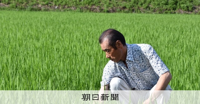 備蓄米販売、葛藤する現場 コメ農家「今は我慢」、販売会社「米
