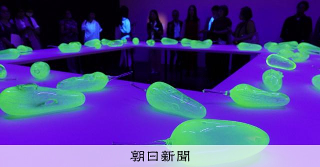 環境汚染を訴えかける緑の光 先住民にルーツ、豪の女性作家らの表現