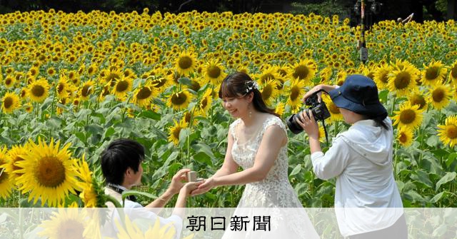 ひまわり 女性情報誌 他、大正昭和ロマンセット ひまわり 女性情報誌 他、大正昭和ロマンセット