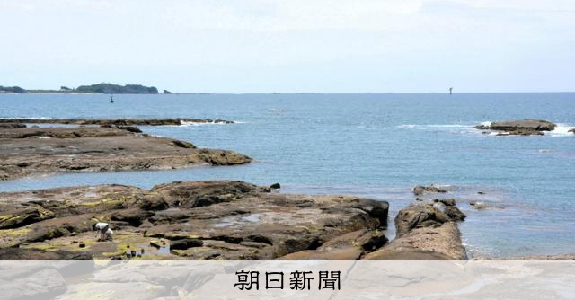 人工ダイヤより硬い歯、ありふれた貝が磁鉄鉱作る仕組み解明　岡山大：朝日新聞