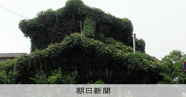 第12回植物にのまれた空き家、土地も建物も所有者不明…困難事例の解決策は