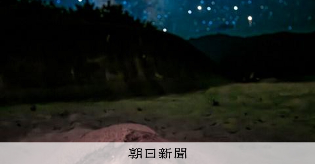 いのちの聲」を撮影、写真家・鈴木一雄さんの写真展を六本木で開催