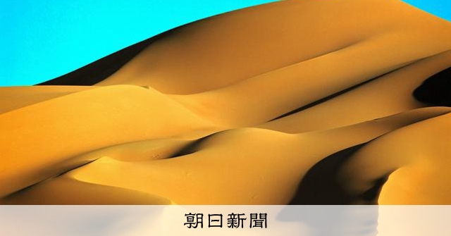 25歳で出あったサハラ砂漠 撮り続けた自然と生死 野町和嘉写真展 [東京
