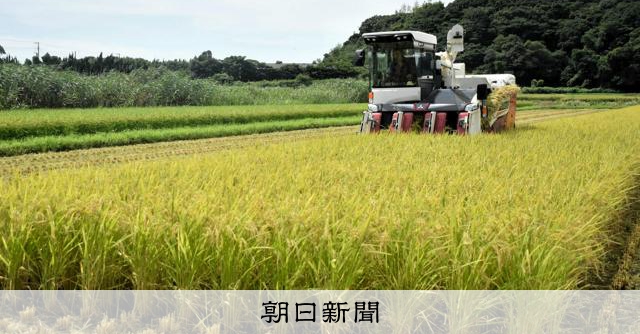 随意契約の備蓄米、9月以降も販売容認へ 流通遅れで農水省が検討