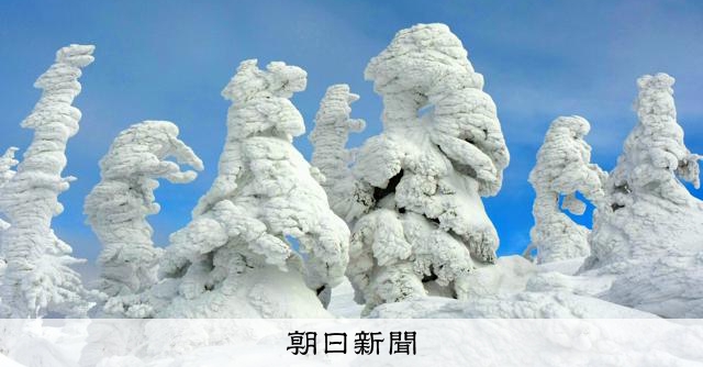 蔵王のアイスモンスター、急速にスリム化 食害など影響 山形大調査